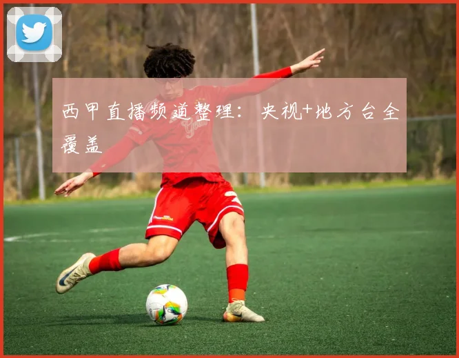 西甲直播频道整理：央视+地方台全覆盖