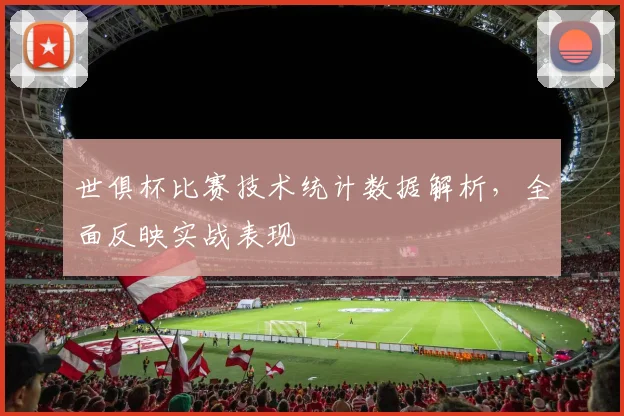 世俱杯比赛技术统计数据解析，全面反映实战表现