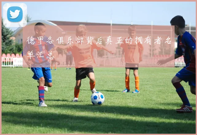 德甲各俱乐部背后真正的拥有者名单汇总