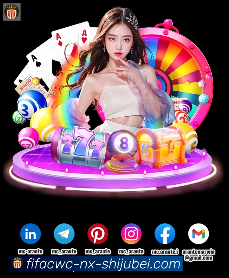 未来规划