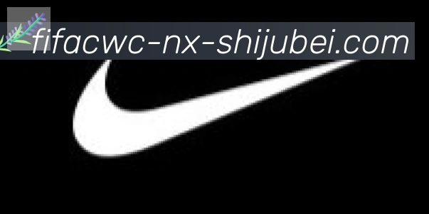 世界杯直播合作伙伴